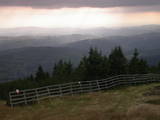 16 : 49