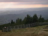 17 : 17