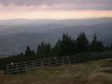 17 : 33