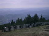 19 : 25