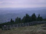 19 : 29