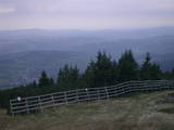 19 : 33