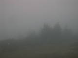 17 : 17