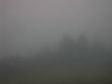 17 : 29