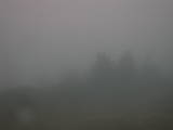 17 : 37
