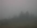 17 : 53
