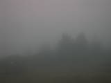 18 : 17