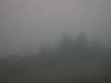 18 : 29