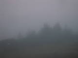 19 : 09