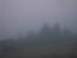 19 : 13