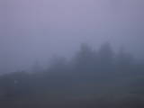 19 : 17