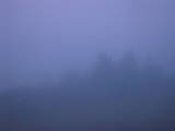 19 : 25
