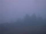 19 : 29