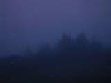 19 : 37