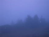 05 : 49
