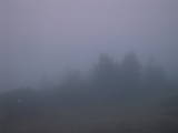 06 : 29