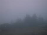 06 : 33