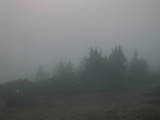 06 : 41