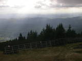 16 : 29