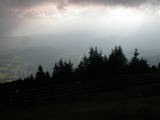 17 : 29