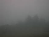 18 : 25