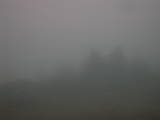 18 : 29