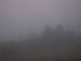 19 : 13