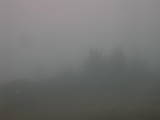 13 : 37