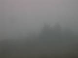 14 : 01
