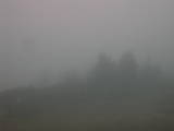 14 : 05