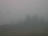 14 : 13