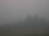14 : 17