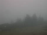 14 : 53