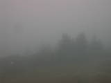 15 : 01