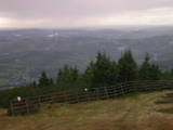 15 : 29