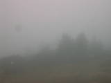 16 : 25