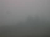 17 : 17