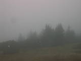 17 : 25