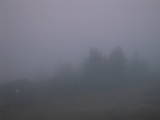 19 : 25