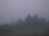 19 : 29