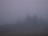 19 : 33