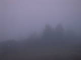 19 : 37