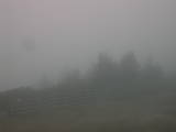 17 : 25
