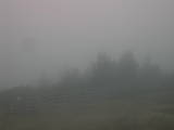 17 : 29