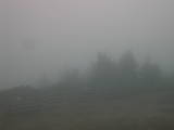 17 : 33