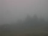 18 : 21
