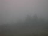 18 : 41