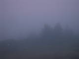 19 : 13