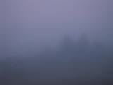 19 : 17