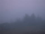 19 : 25